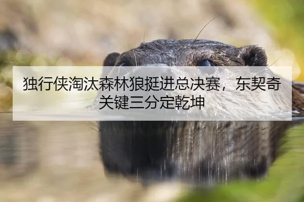 du-xing-xia-tao-tai-sen-lin-lang-ting-jin-zong-jue-sai-dong-qi-qi-guan-jian-san-fen-ding-qian-kun-3-860.jpg