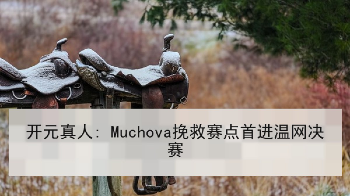 开元真人: Muchova挽救赛点首进温网决赛 开元真人: Muchova挽救赛点首进温网决赛