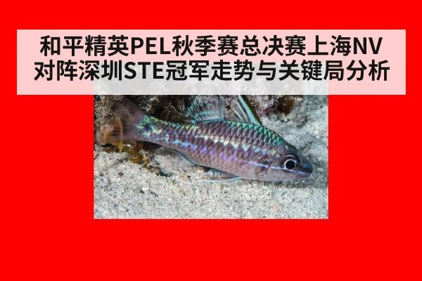 和平精英PEL秋季赛总决赛上海NV对阵深圳STE冠军走势与关键局分析
